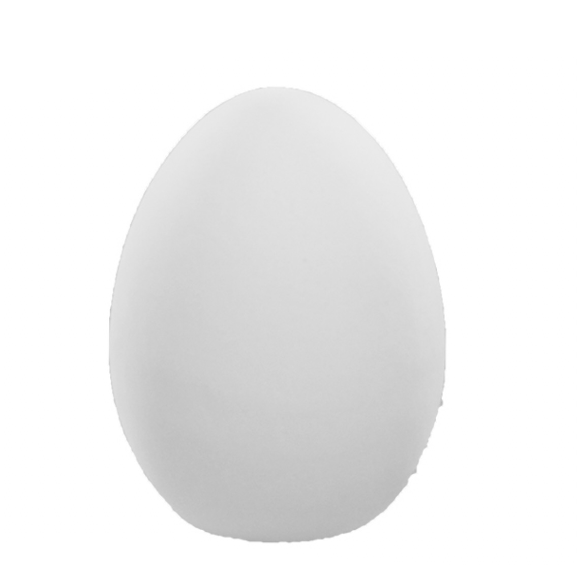 Goose Egg Made by Me